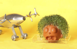 <span class=keywords><strong>Rick</strong></span> <span class=keywords><strong>Morty</strong></span> Fun Grow Chia Pet, Pequeño <span class=keywords><strong>Morty</strong></span> Decorativo, Maceta Bonsái para Interiores/Exteriores, Fácil de Colgar, Aplicación en Centros Comerciales - Product Image 4