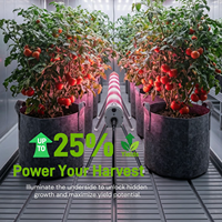 LUXINT Barre d'éclairage LED à spectre complet, dimmable et connectable, pour culture sous auvent et inter-éclairage, destinée aux cultures verticales commerciales