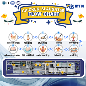 Dây chuyền giết mổ gà hoàn chỉnh, giết mổ gia cầm 1000 con/giờ, thiết bị chế biến nhà máy giết mổ gia cầm - Product Image 3