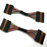 Panjang 50mm Fpc 24T * 2 kabel-PEXPN20454-30P * 2 Led Lvds kawat Harness produsen