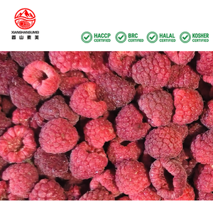 <span class=keywords><strong>Fruits</strong></span> <span class=keywords><strong>et</strong></span> <span class=keywords><strong>légumes</strong></span> surgelés de haute qualité, fabrication chinoise, vente en gros <span class=keywords><strong>et</strong></span> au détail, framboises surgelées IQF - Product Image 2