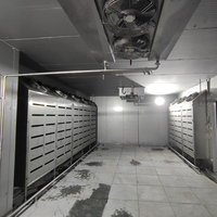 Machine de décongélation intelligente à faible consommation d'énergie, haute humidité et basse température, en acier inoxydable 304, pour la décongélation uniforme de la volaille et des fruits de mer