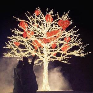 Personalizado al aire libre iluminado decoración grande LED <span class=keywords><strong>ramas</strong></span> <span class=keywords><strong>secas</strong></span> artificiales Árbol <span class=keywords><strong>de</strong></span> Invierno - Product Image 6