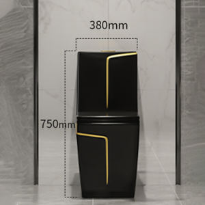 WC monobloc moderne noir électroplaqué, à poser au sol, à double chasse, avec siphon en S et réglage <span class=keywords><strong>de</strong></span> la pression <span class=keywords><strong>de</strong></span> l'<span class=keywords><strong>eau</strong></span>, idéal pour les hôtels - Product Image 1