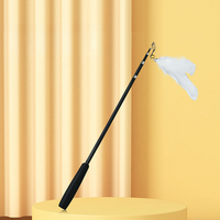 FurryStar Jouet interactif de luxe et écologique pour chat, canne à pêche avec plume, bâton en bois et clochette, jouet de stimulation robuste, vente en gros