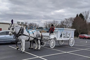 Glass Covered White Funeral Hearse Electric Horse Carriage Horse-drawn Coffin Carriage Electric Funeral Buggy - Product Image 3