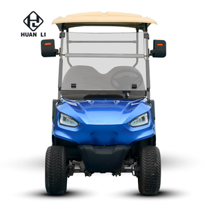Carrito de Golf de 2 Plazas para Entusiastas - Product Image 4