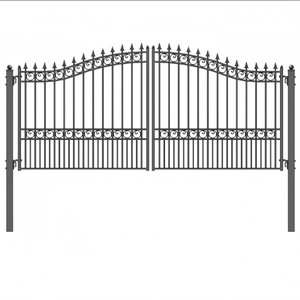 Offre Spéciale petite porte principale en fer forgé conçoit des portes en acier bon marché porte en fer forgé avec galvanisé à chaud - Product Image 2