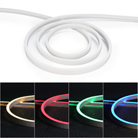 Nouveau, incassable, empêche les dommages avec la feuille PET, Tube néon, bande Led, Tube en Silicone, lumière Diffuse, néon Flex