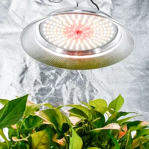 shenzhen manufacturer grow lights for indoor plants growing led lights for plant growth