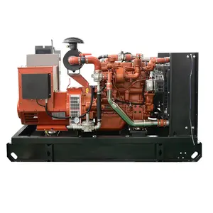 Générateur de gaz à haut rendement 200 kw 250kva générateur de gaz
