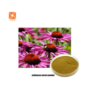 Groothandel <span class=keywords><strong>Pure</strong></span> Organische <span class=keywords><strong>Echinacea</strong></span> Polyfenolen Poeder 4% <span class=keywords><strong>Echinacea</strong></span> Cichorzuur 4%-6% <span class=keywords><strong>Extract</strong></span> Poeder - Product Image 2