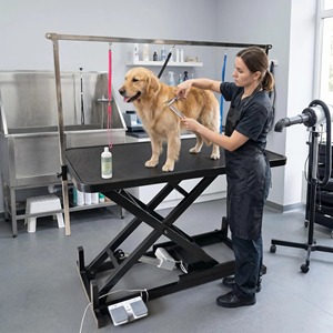 Mesa <span class=keywords><strong>de</strong></span> Peluquería para Mascotas con Altura Ajustable, Elevador <span class=keywords><strong>de</strong></span> <span class=keywords><strong>Tijeras</strong></span>, Mesa <span class=keywords><strong>de</strong></span> Peluquería para Perros con Elevación Eléctrica por Pedal - Product Image 2