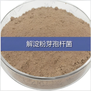 Polvere di Bacillus Amyloliquefaciens (Fermentazione in Stato Solido) 1000 Miliardi/g CFU 98% Tasso di Spore 8% Contenuto d'Acqua da Hubei - Product Image 3