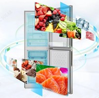 Refrigerador/Congelador Solar de 12/24V CC, Refrigerador con Panel Solar R134a, Refrigerador/Congelador Solar de 198L, Refrigerador/Congelador de Energía Solar