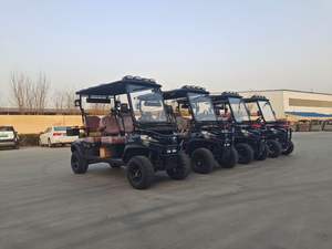 Carrito de Golf Eléctrico de 2 Plazas con Caja de Carga y Batería de Litio de 48v, Tractor Eléctrico - Product Image 6