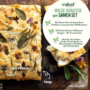 Kit de plantes de jardin de truies organiques de 10 types pour plantes de thé médicinales, épices sauvages, truies pour la plantation incluses - Product Image 6