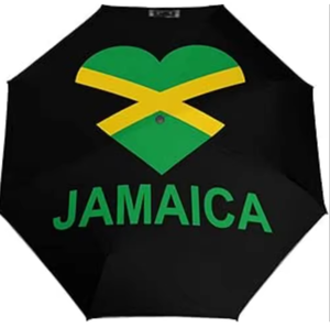Parapluie Drapeau Honduras Coupe-Vent Anti-UV Pliant Portable de Voyage Ouverture/fermeture Automatiques Panneaux Personnalisables - Product Image 4