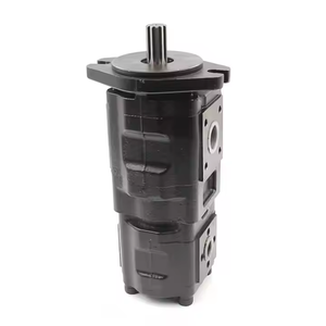 Bomba hidráulica de engranajes de 40 CC/REV (tipo placa de leva) para aplicaciones de servicio pesado | Venta al por mayor 25 MPa Presión máxima 1 año - Product Image 5