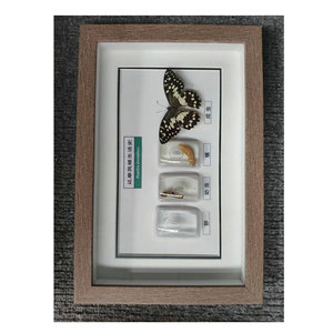 <b>Large</b> framed wall-mounted photo wall, A3 16-inch 4-size 8K mosaic frame, PS foam photo frame, solid wood photo frame. - Product Image 1