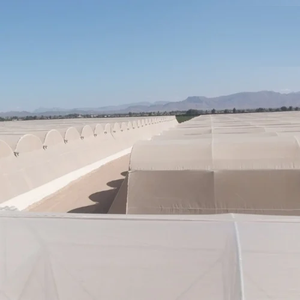 Casa de Malla Plástica en Forma de Domo, Invernadero Duradero de Alta Resistencia con Diseño de Domo, Malla de Polietileno Resistente a los Rayos UV - Product Image 2