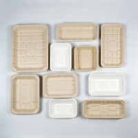 Composteerbare voedselveilige suikerrietbagasse schaal 274x149x18,5mm voor verse producten & vlees, commercieel, FDA, BRC, groothandel