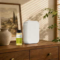 Huile parfumée directe d'usine pour diffuseur nébuliseur sans eau, huile aromatique en vrac pour marques de marketing olfactif hôtelier