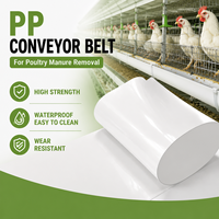 Nouvelle bande transporteuse en plastique PP pour le nettoyage des déchets de cages à poulets et à cailles en élevages avicoles