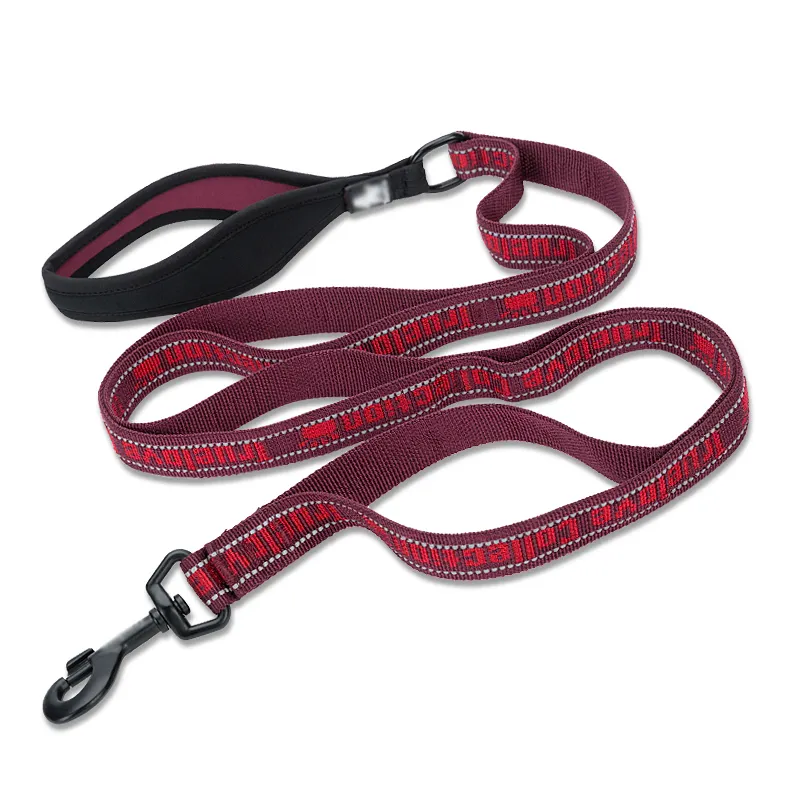 Impermeável ajustável Dog Leash Pets Accesory Dog Products corda dois entregues dog leash