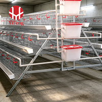 Cage à poules de type A à haute durabilité, en treillis métallique galvanisé antirouille, équipement pour poulailler, machine de collecte automatique des œufs