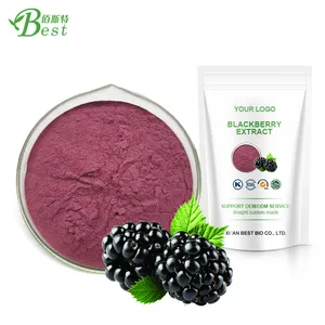 Extrait de plante de pissan, extrait de lys de blackberry, poudre de 10:1, meilleure vente, vente en gros