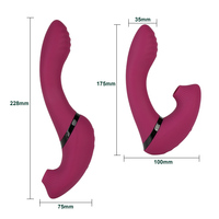 Leistungsstarkes Erwachsenen-Sexspielzeug für Frauen Masturbator Brustwarzen- und Klitoris-Stimulation Saugvibrator Massageprodukte Sextoy