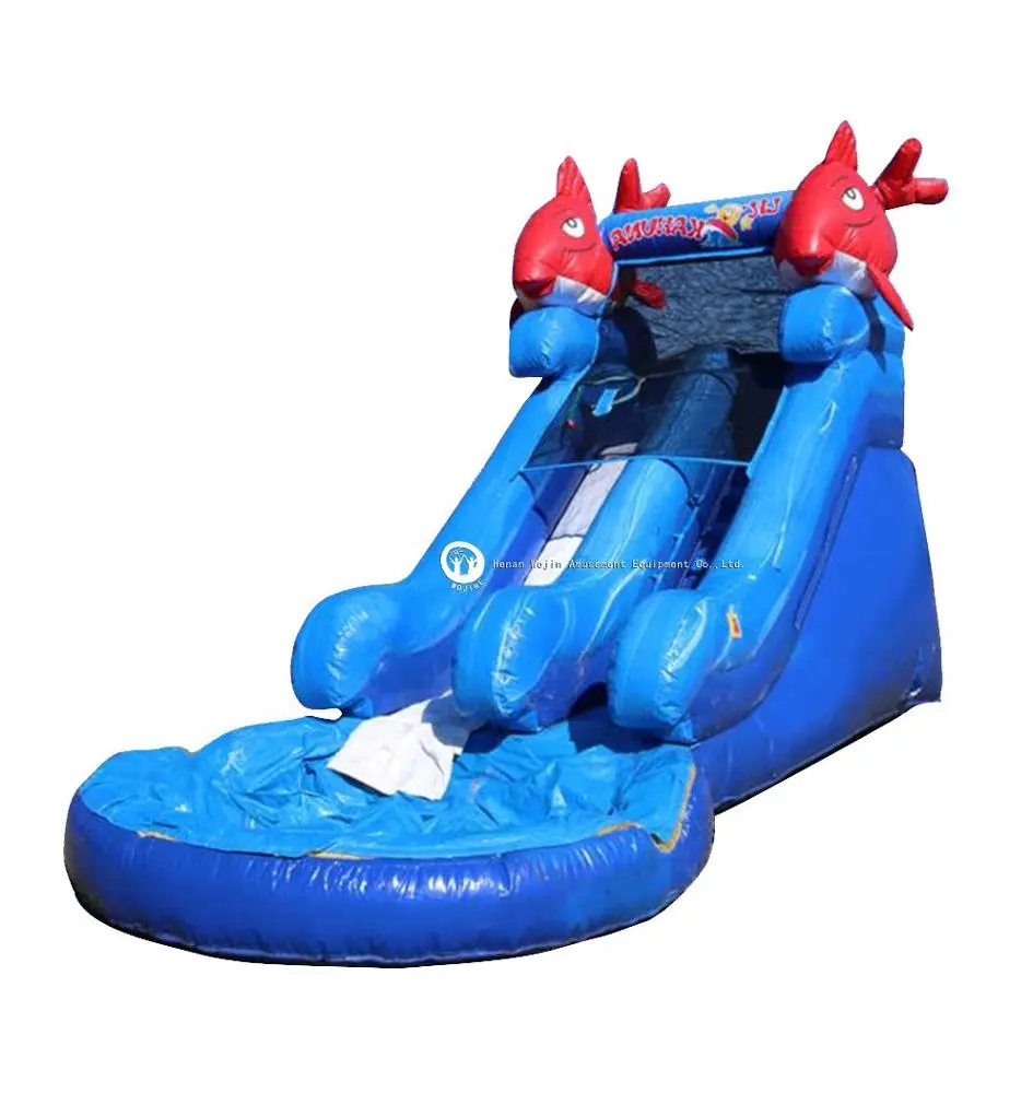 Fish Water Slide Inflatable Water Slides Wuth Swimming Pool for Sale Red Cheap