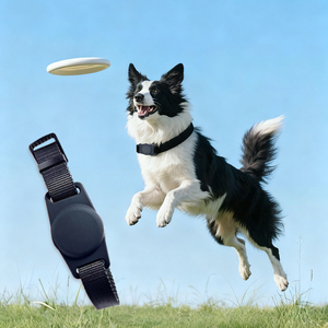 Tùy Chỉnh Apple Độc Quyền Chống-Mất Pet Tracker Không Thấm Nước GPS Navigator 4G Mạng Tương Thích 'Tìm Mình' Tracker Nhựa - Product Image 2