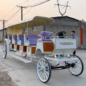 Charrette à Chevaux à Prix Compétitif à Vendre / Carrosse Électrique pour Mariage / Buggy à Chevaux pour Mariée - Product Image 4