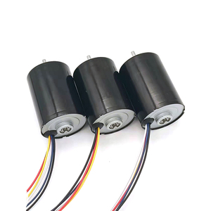 <span class=keywords><strong>Moteur</strong></span> BLDC 12V 20W Faradyi personnalisé, <span class=keywords><strong>le</strong></span> <span class=keywords><strong>plus</strong></span> <span class=keywords><strong>puissant</strong></span>, pour pistolet de massage - Product Image 3