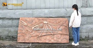 My Dino DS-124 Plaque d'exposition <span class=keywords><strong>de</strong></span> fossile <span class=keywords><strong>de</strong></span> dinosaure <span class=keywords><strong>Velociraptor</strong></span> pour musée - Product Image 3
