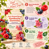 Gummies de Kombucha OEM ODM Marque Privée, Thé Fermenté Probiotique, Orme Rouge, Framboise, Myrtille, Faible Teneur en Sucre, Complément Énergétique
