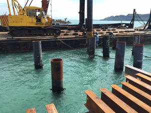 전문 제조업체 자동 스크류 유압식 시트 파일 드라이버 - Product Image 4