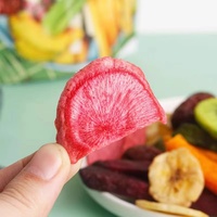 Fruit & groentesnacks gebakken harde textuur 168g zak