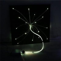 Decken-Dekor LED PMMA Sternenlicht-Panel mit RGBW & Fernbedienung IP68-Zertifiziert für Sternenhimmel Heimkino Sensorikraum