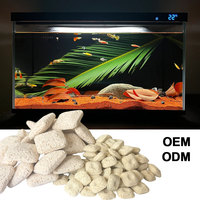 Matériaux filtrants carrés pour aquarium, briques poreuses en céramique et quartz pour aquarium, bassin et filtre à cartouche