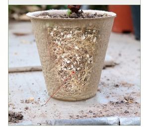 Plateau de semis de pâte biodégradable pour plantes de jardin <span class=keywords><strong>Bassin</strong></span> de tourbe réutilisable Plateau de semis respectueux de l'environnement Tasse de plantation de fleurs - Product Image 4