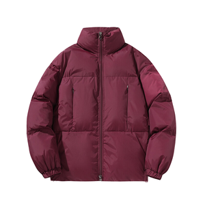 Veste d'hiver épaisse et chaude en duvet, personnalisée, grande taille, décontractée, surdimensionnée, imperméable, enduite, écologique, avec fermeture éclair, pour hommes et femmes, 95% duvet - Product Image 3