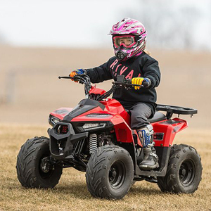 Moteur Tao Entraînement par chaîne Cuatrimotos Kids 110cc ATV Freins automatiques de <span class=keywords><strong>moto</strong></span> <span class=keywords><strong>Ttr</strong></span> <span class=keywords><strong>600</strong></span> 2001 Kids Atv 1000w Electric Electric Start - Product Image 3