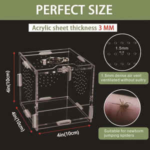 Caja de Cría para Reptiles Pequeños, Recinto Cúbico para Arañas, Mantis, Arañas Saltadoras, Tarántulas y Lagartos - Product Image 4