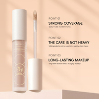 Vente en gros Correcteur liquide minéral imperméable longue durée Fond de teint et correcteur Corée du Sud Correcteur maquillage Pro