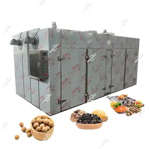 Industrial High Efficiency Papaya Pawpaw Guava Psidium Guajave Pomegranate Fig Persimmon Dryer