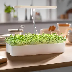Microgreen tohumları filizlenme kiti büyümek için akıllı bahçe 3 ot bahçe pencere ekici kutusu Soilless çimlenme dikim kağıt