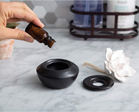 Diffuseur OEM de Cactus blanc diffuseur de parfum et d'huile essentielle diffuseur de porcelaine avec huile essentielle de menthe poivrée